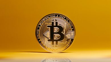 Önde Gelen Bitcoin Platformları